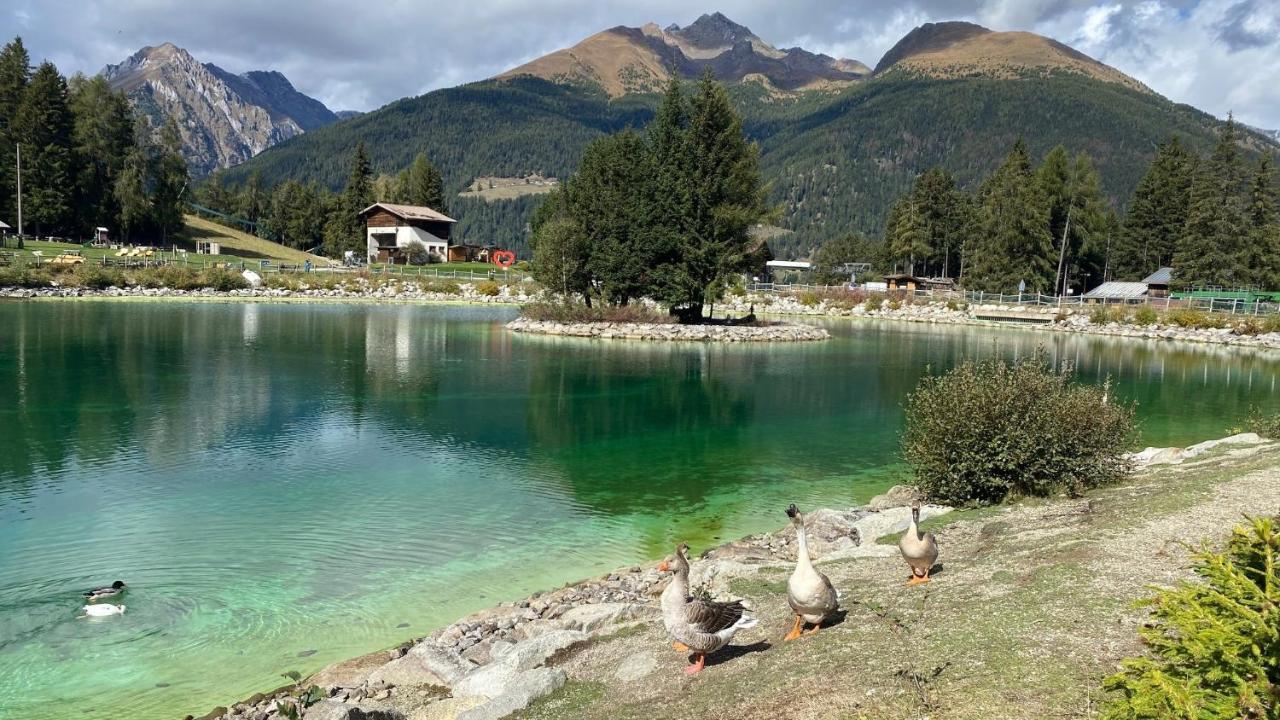 La Casa Bianca - Ski, Hike & Bike Passo del Tonale Exterior photo